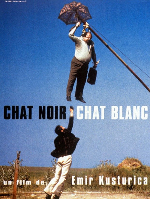 Chat noir, chat blanc