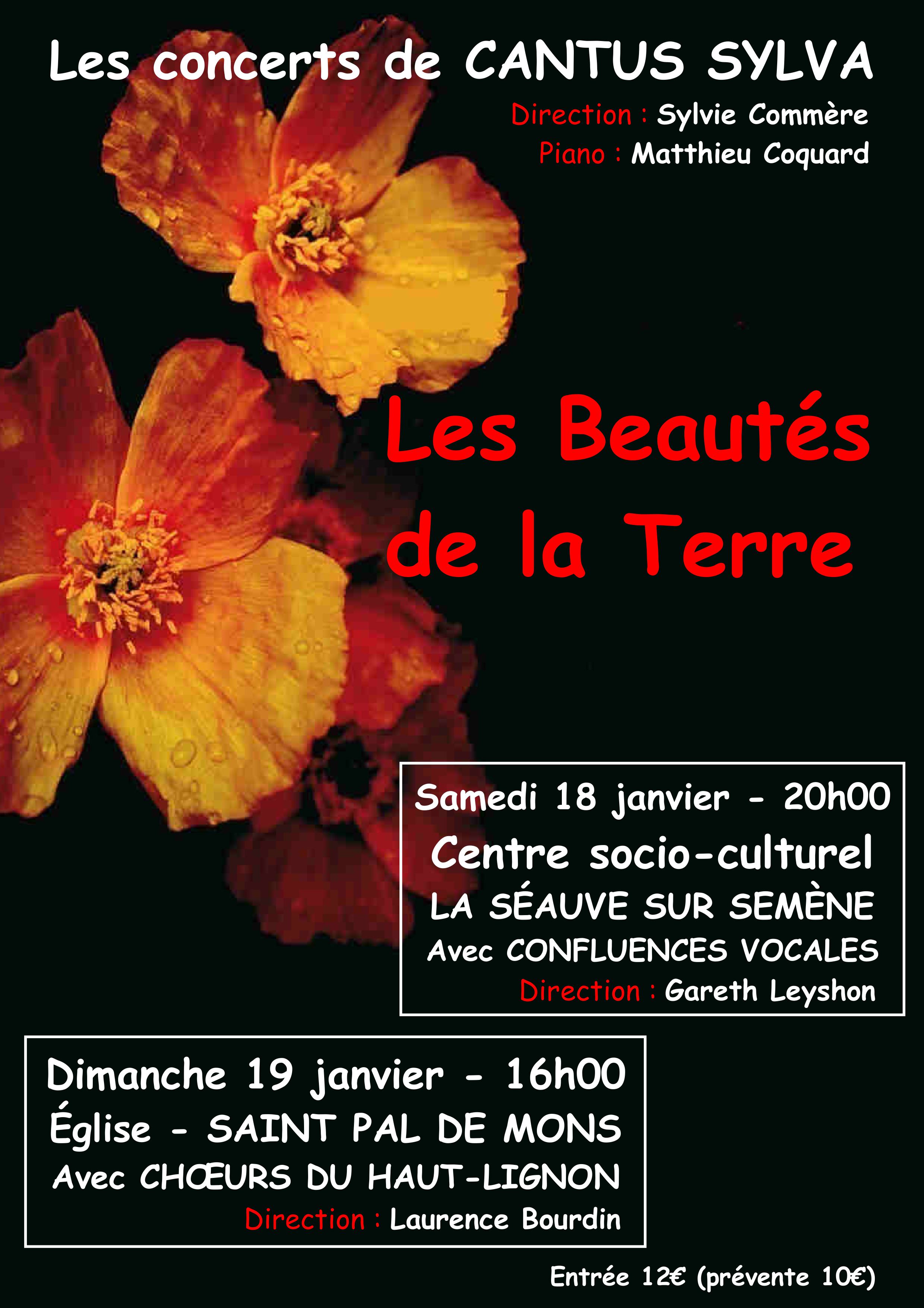 Concert par le cœur Cantus Sylva_Saint-Pal-de-Mons