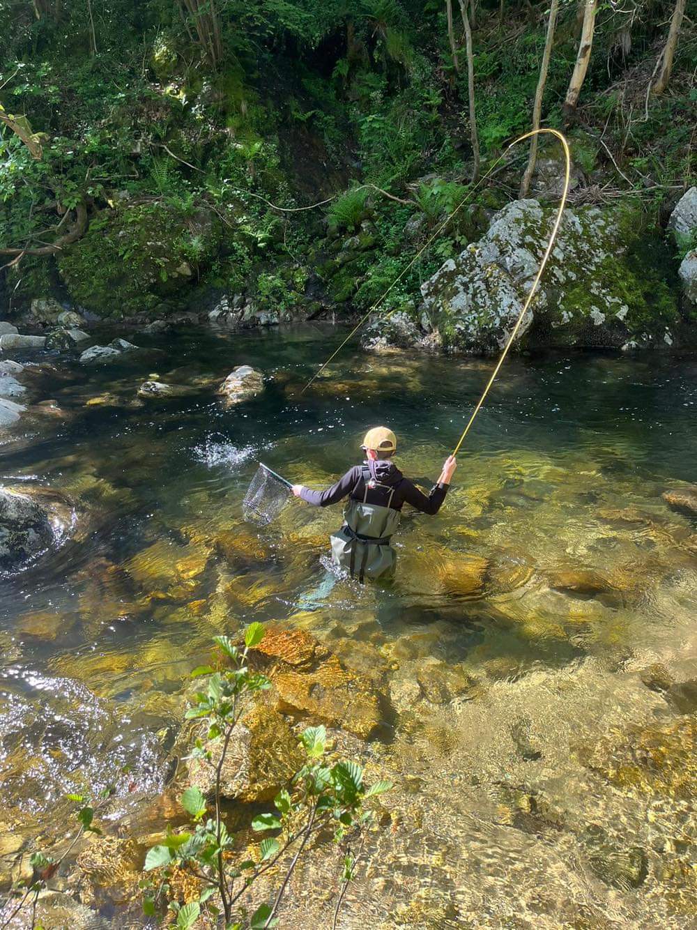 Pêche à la mouche en rivière_Tence