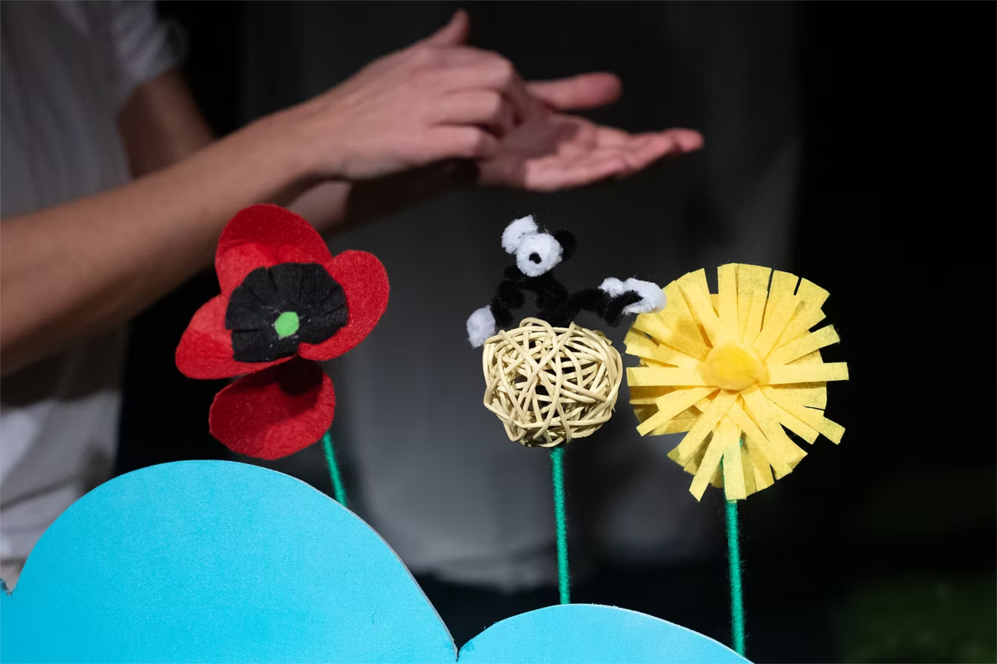 EVE_Cocon, histoire en lumières d'une petite aventurière_Chamalières-sur-Loire