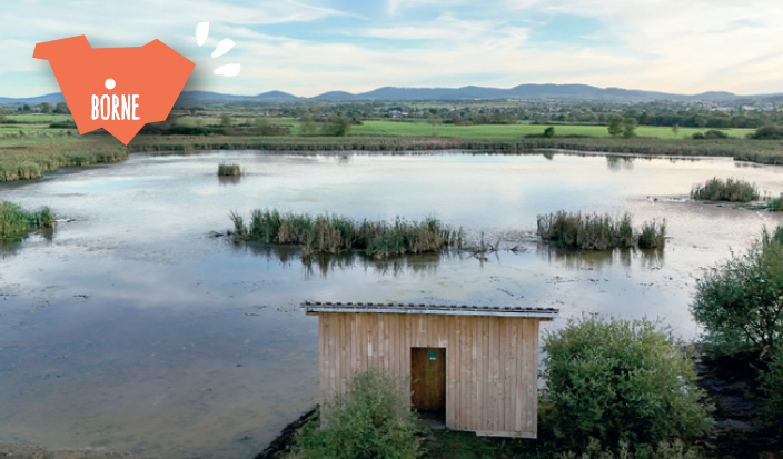 Sortie Nature : Balade découverte des oiseaux au Lac de Freycenet_Borne