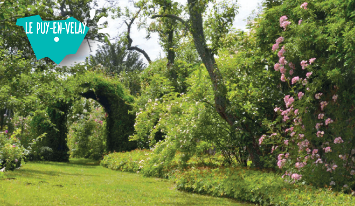 Sortie Nature : Secrets d'un jardin de nature_Le Puy-en-Velay