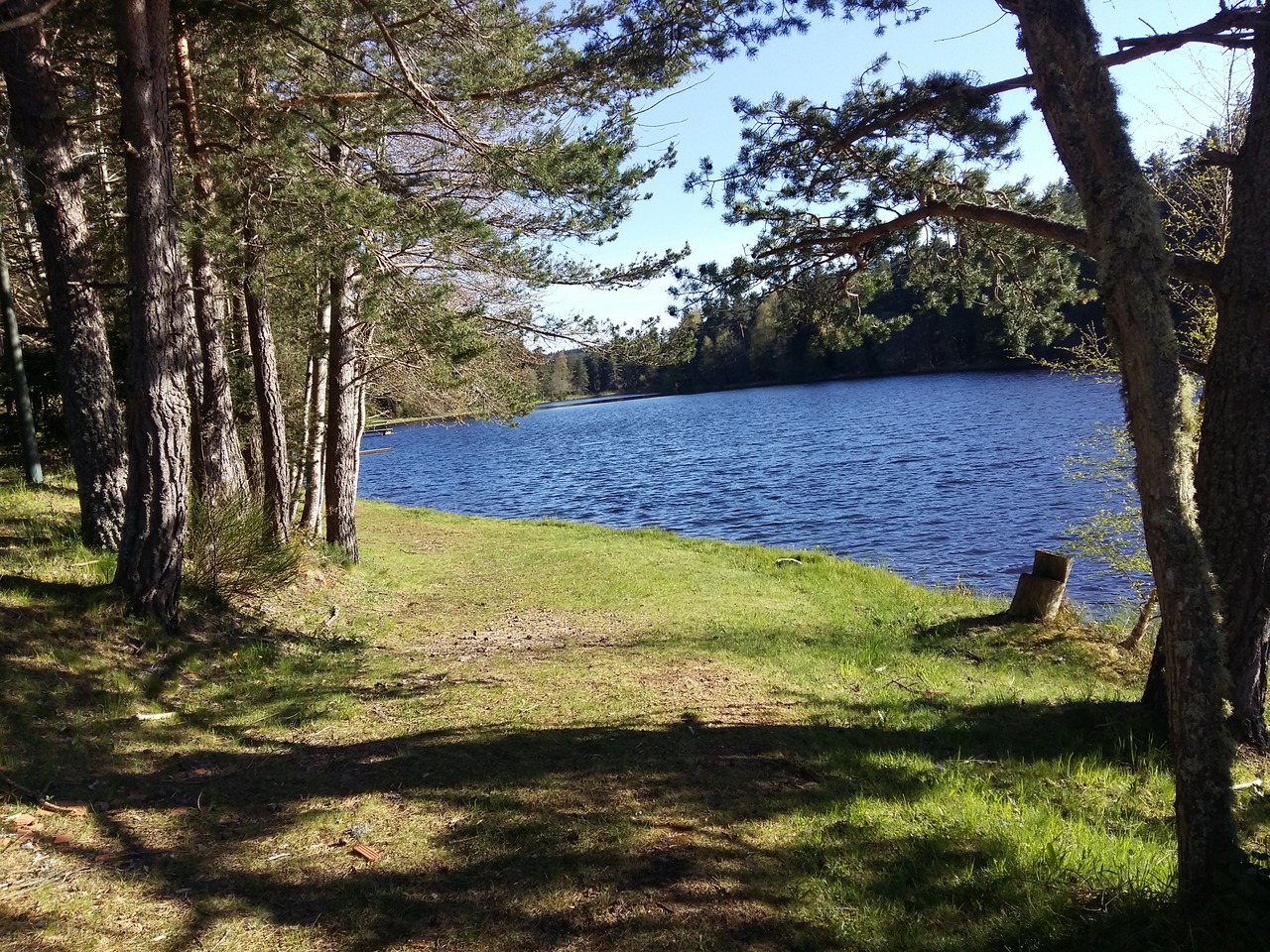 "Goûter le paysage"_La Chaise-Dieu