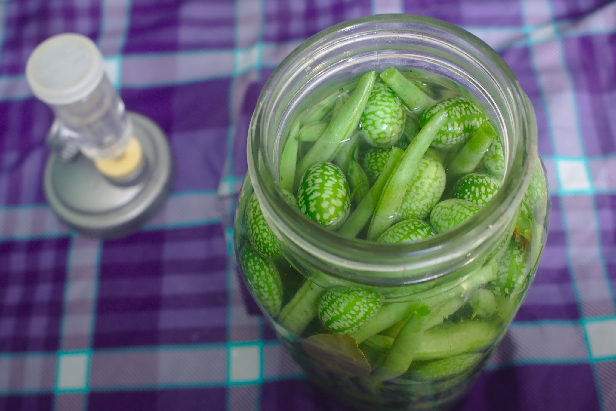 Atelier « Fermentation et Macérations » avec Le Goût du Sauvage_Le Puy-en-Velay
