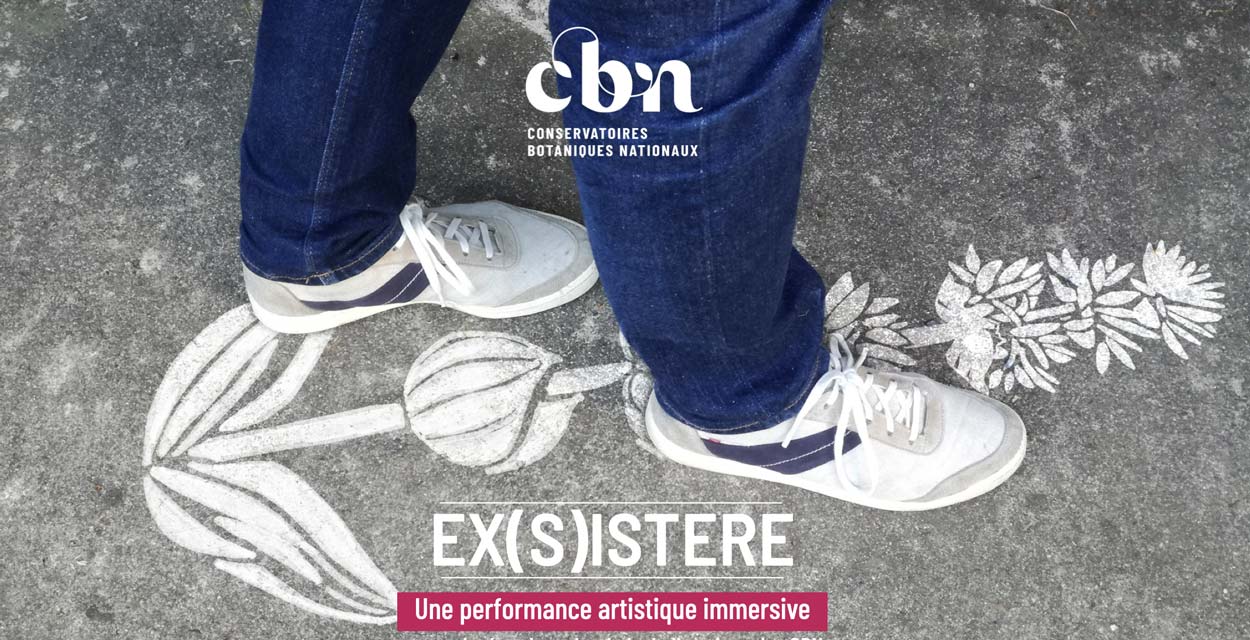 Exposition : Ex(s)istere, une ode au végétal sauvage_Le Puy-en-Velay