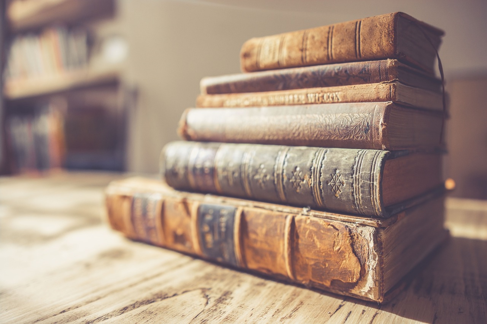 Salon du Livre_Saugues