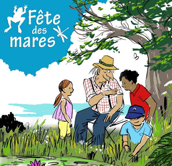 La Nuit des Grenouilles au marais de la Gimberte_Borne