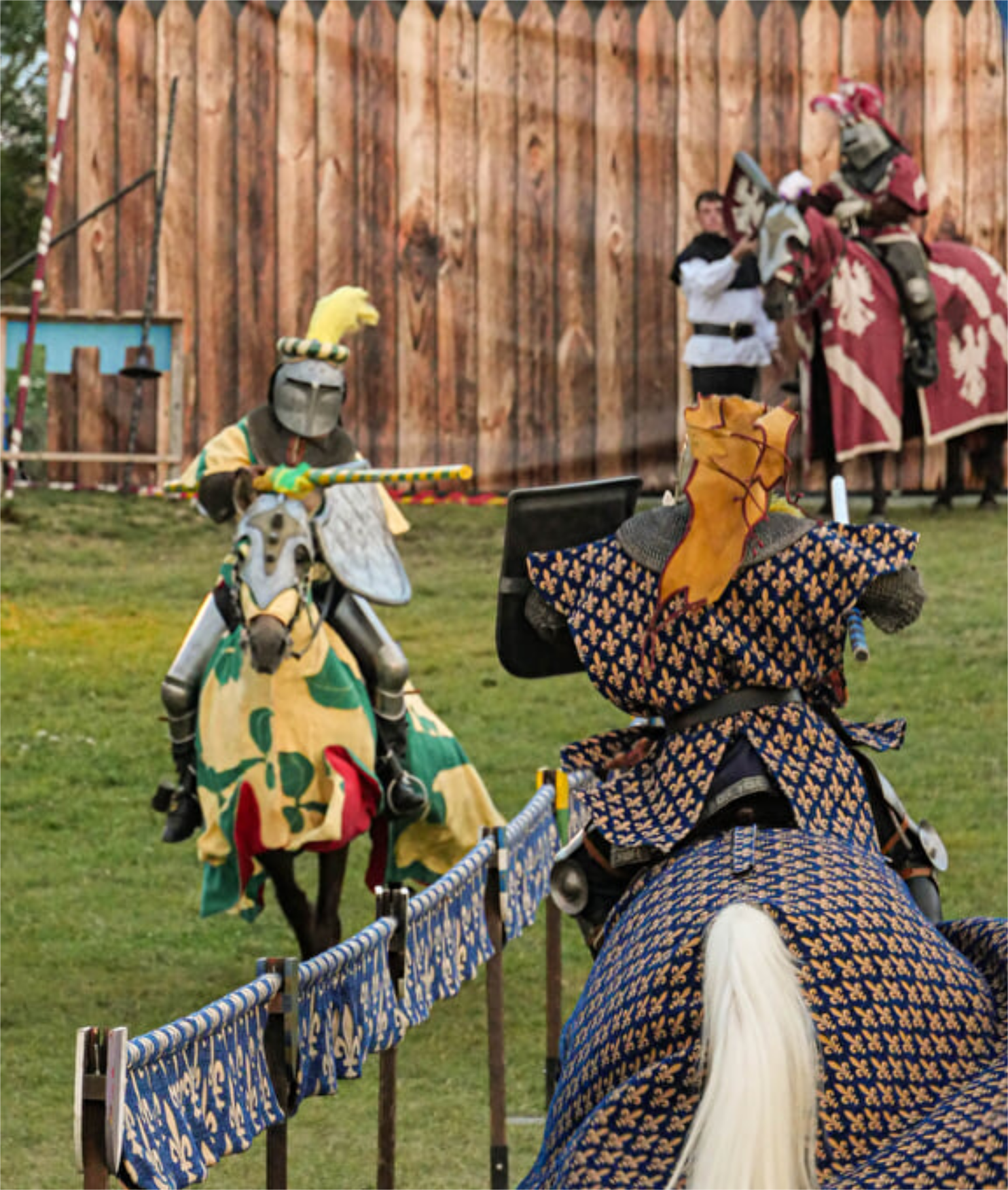EVE_Spectacle équestre : le tournoi du Roi_Polignac