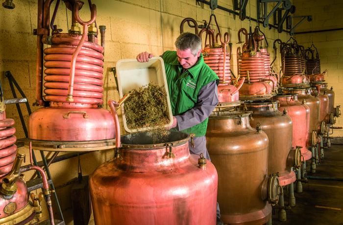 J.E.P : Visites de la Distillerie de la Verveine du Velay Pagès_Saint-Germain-Laprade