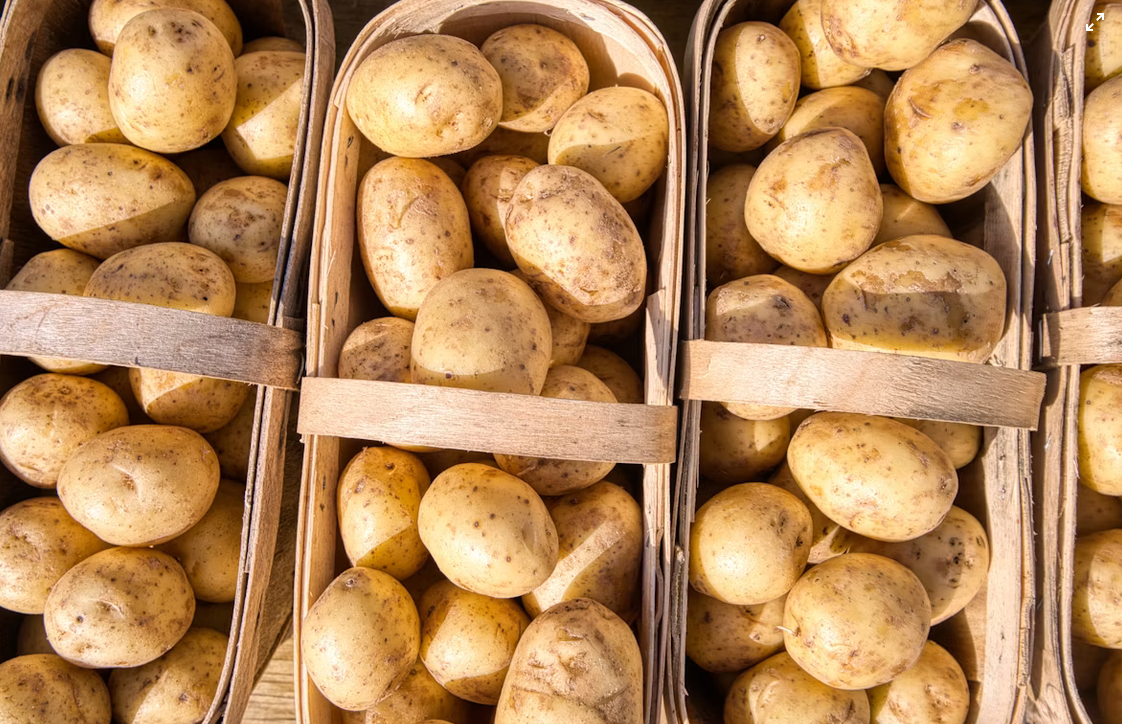 31ème foire à la Patate_Solignac-sur-Loire