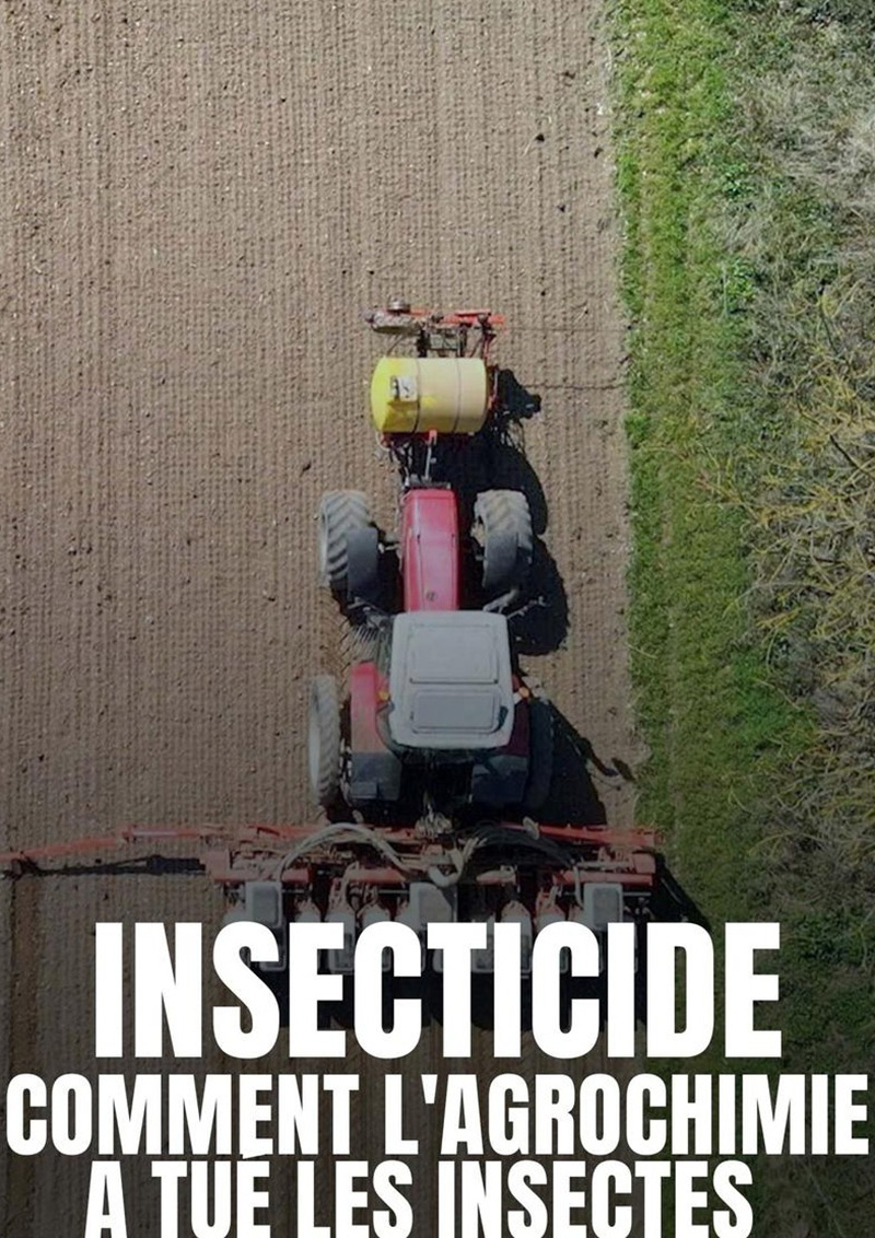 43354708.jpg