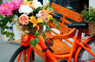 Défilé de vélos fleuris_Prades