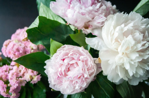 Vente de Fleurs de la Toussaint - FSE Collège public_Saugues