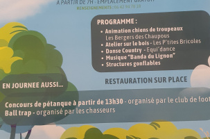 Fête du village, vide grenier_Les Vastres