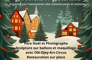 Marché de Noël_Auzon