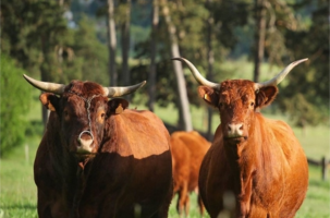 EVE_De ferme en ferme GAEC du Domaine de Sinzelles_Blavozy