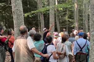 Lectures sous l'arbre - balade lecture avec Olivier Abel_Araules