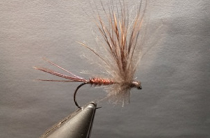 Découverte pêche à la mouche_Tence