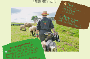 Atelier "Nos animaux" à La Boria des Gotas_Saint-Didier-en-Velay