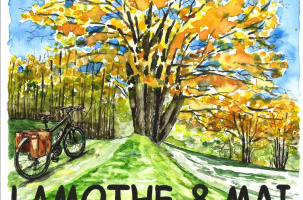 Bourse aux vélos et Vide-greniers_Lamothe