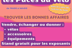 Les Puces du Vélo