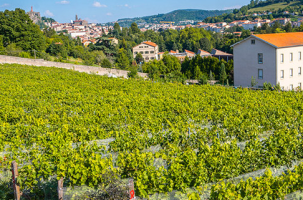 Afterwork au Clos du Paradis_Espaly-Saint-Marcel