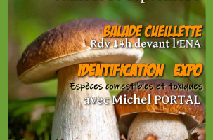 Balade et cueillette de champignons avec Michel Portal_Freycenet-la-Tour
