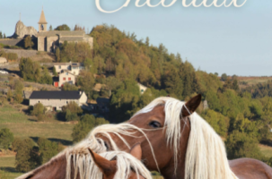 Foire aux chevaux_Fay-sur-Lignon