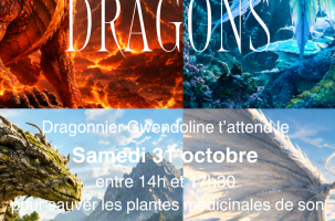 Halloween à la ferme "la quête des dragons"_Saint-Didier-en-Velay