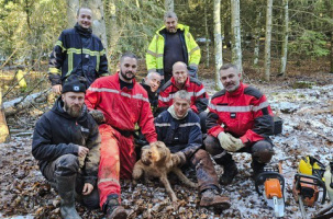 Le chien de chasse et ses sauveurs