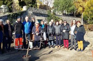 Plantation d'arbres fruitiers à Vals en automne 2021 avec les Soroptimist.