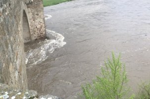 La Loire à Brives-Charensac ce mardi 11 mai 2021 à 7h30.