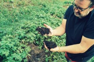 "Une Patate pour un Sourire" jardine sur sol vivant sans labour à St-Vincent.