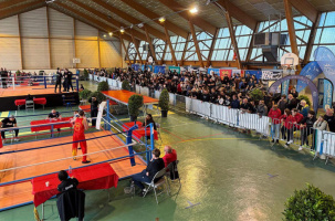 Les arts martiaux, quels qu'ils soient, fascinent le public.