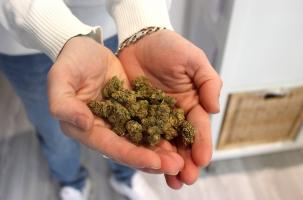 Des fleurs CBD au devant de l'interdiction de la vente des produits de ce type.