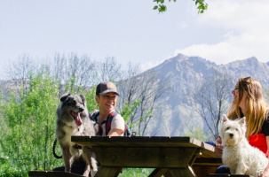 Qualidog sancy