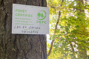 "Lac en danger cormoran" inscrit sur différents panneaux du lieu