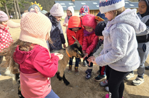 Les animaux semblent ravis de la présence des enfants.