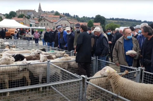 La foire de Thoras (ici, en 2021), traverse aisément le temps sans foirer un instant.
