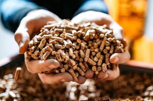 Le granulé de bois, victime de son succès.