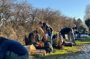 Pacte de la haie, les agriculteurs choisissent leurs futurs plants