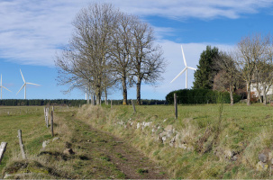 Plus que trois éoliennes restent finalement à l'étude pour leur implantation aux Vastres.