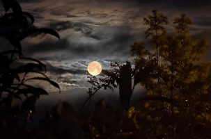 L'ombre et la lumière se sont liées toute la nuit, comme deux amants s'aimant.
