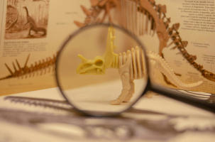 week-end paléo à Brioude