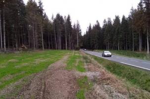 La RD23 est bordée de résineux de culture entre St Didier en Velay et St Victor Malescours.