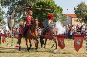 « Les Crinières d'Evol » présentent leur spectacle Le Royaume des 3 Cercles