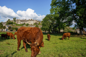 Sommet de l'élevage 