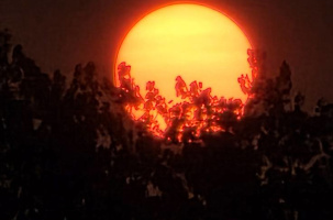 Le soleil rouge, l'air teinté par les incendies qui brûlent notre maison.