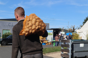 Les pommes de terre sont connues pour avoir la patate...