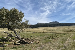 Vue générale du Mézenc côté Haute-Loire.